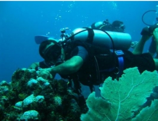 Buceo en el fondo del mar